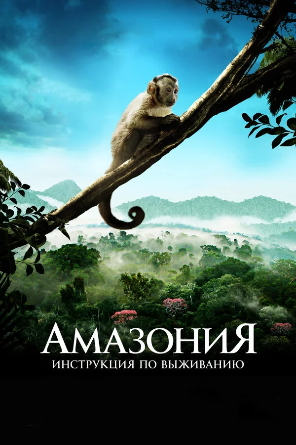 Amazoniya