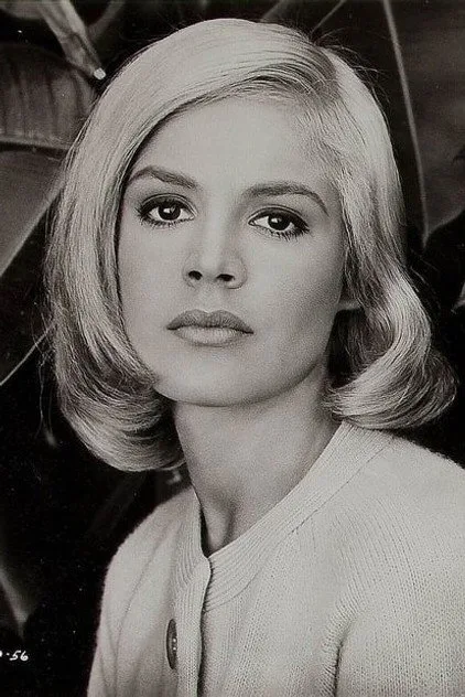 Sandra Di